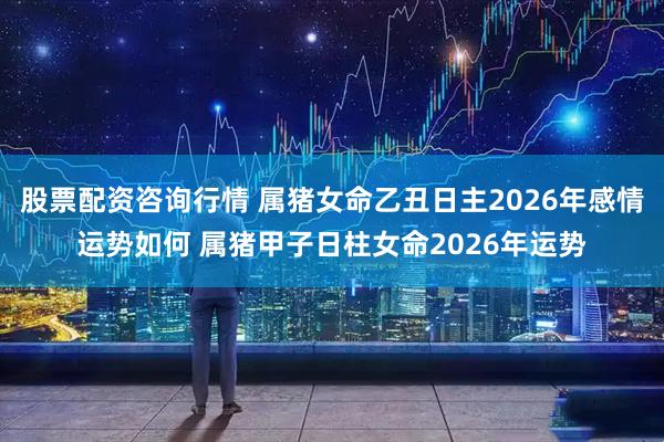 股票配资咨询行情 属猪女命乙丑日主2026年感情运势如何 属猪甲子日柱女命2026年运势