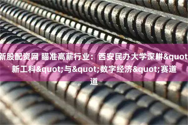 新股配资网 瞄准高薪行业：西安民办大学深耕"新工科"与"数字经济"赛道