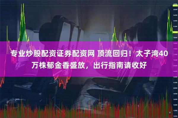 专业炒股配资证券配资网 顶流回归！太子湾40万株郁金香盛放，出行指南请收好